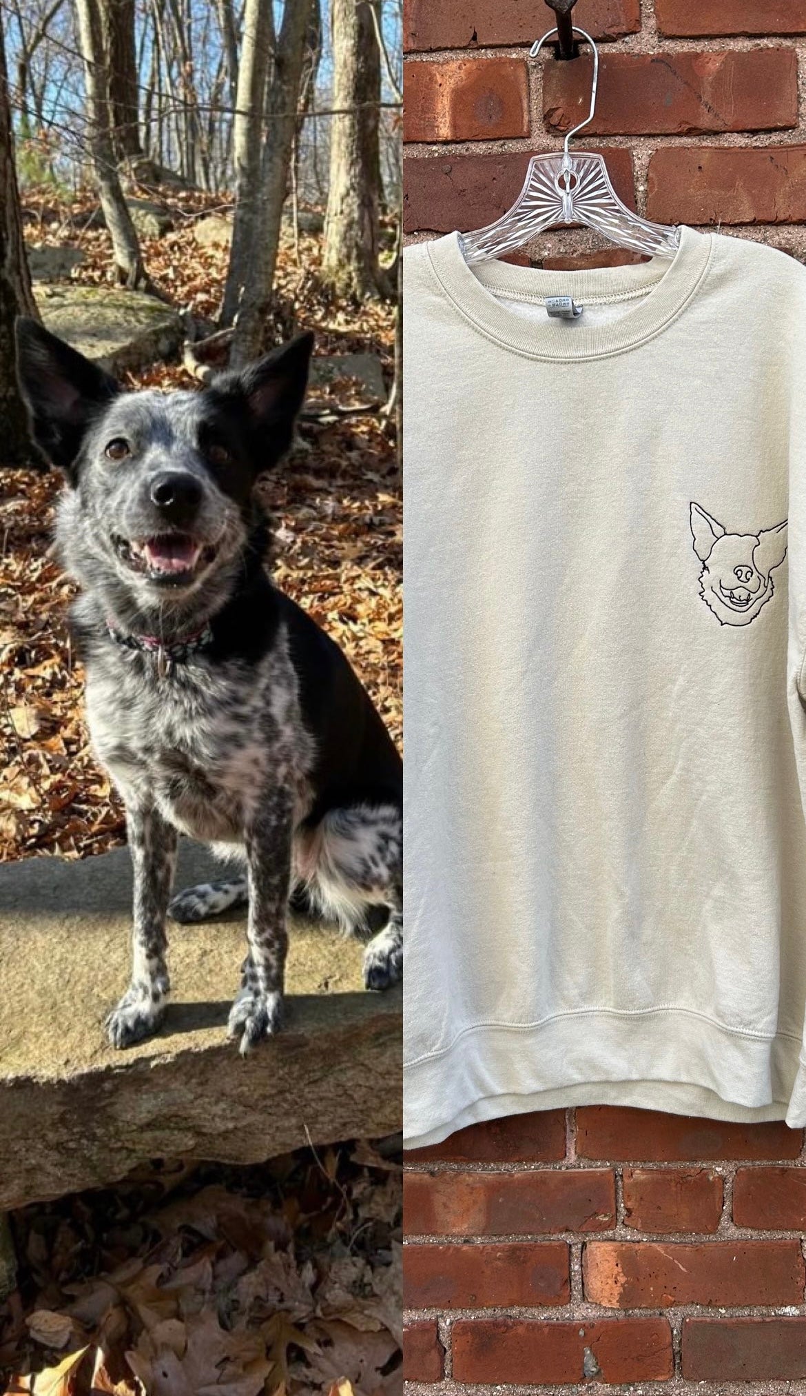 Pet Custom