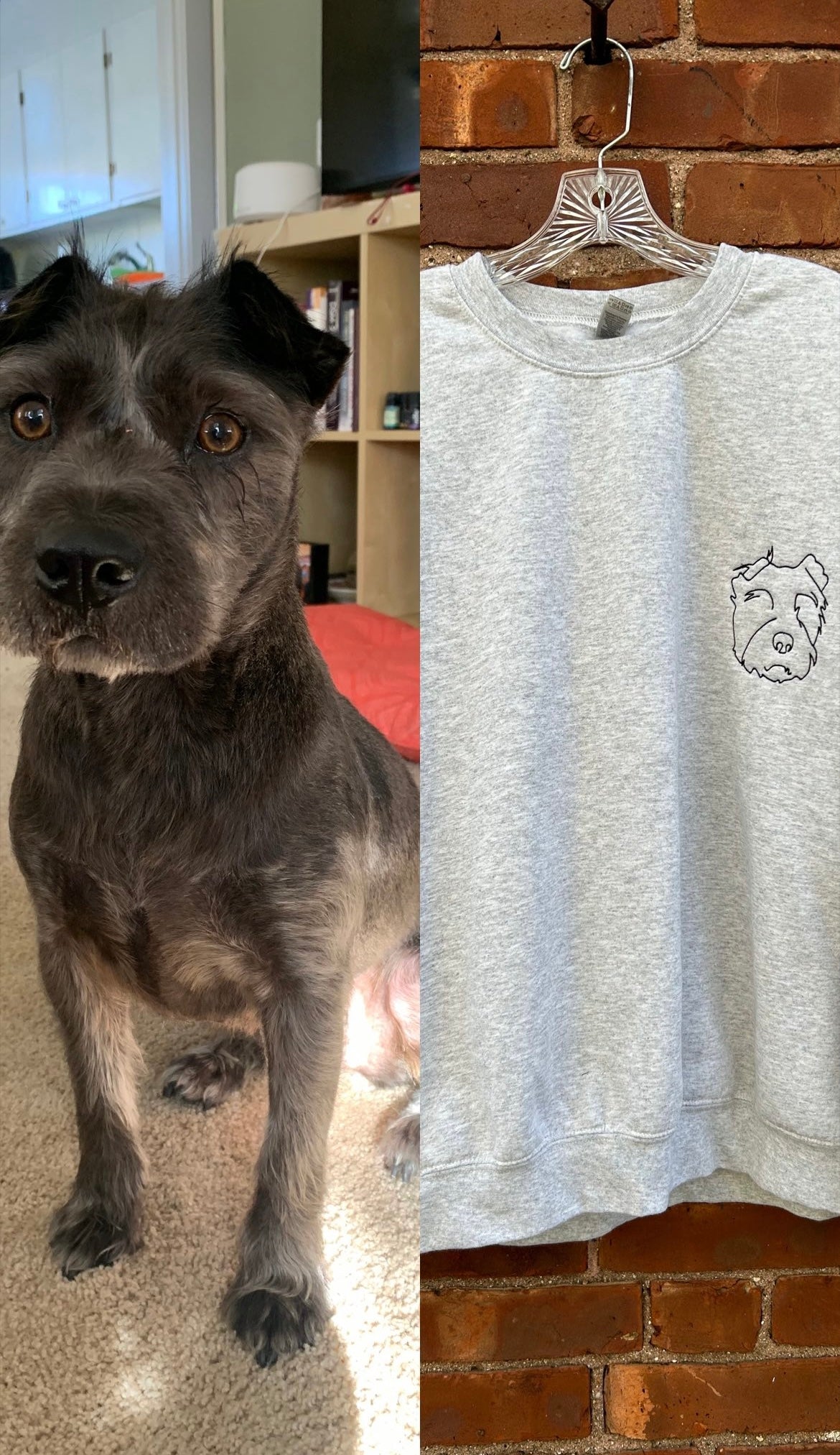 Pet Custom